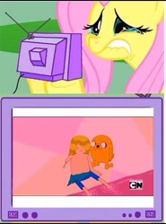 Size: 357x482 | Tagged: safe, fluttershy, pegasus, pony, adventure time, amputee, escape from the citadel, exploitable meme, finn the human, jake the dog, meme, obligatory pony, sad, tv meme