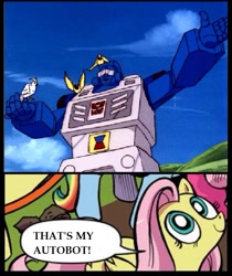 Size: 595x709 | Tagged: safe, fluttershy, pegasus, pony, beachcomber (transformers), blue coat, blue eyes, dialogue, exploitable meme, female, looking up, mare, meme, multicolored tail, nature is so fascinating, obligatory pony, pink coat, pink mane, smiling, speech bubble, that's my x, transformers, wings, yellow coat