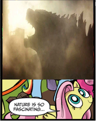 Size: 797x1024 | Tagged: safe, idw, fluttershy, kaiju, pegasus, pony, blue coat, blue eyes, dialogue, exploitable meme, female, godzilla, godzilla (series), godzilla 2014, looking up, mare, meme, multicolored tail, nature is so fascinating, obligatory pony, pink coat, pink mane, smiling, speech bubble, wings, yellow coat