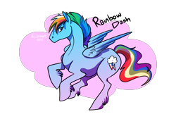 Size: 3500x2500 | Tagged: safe, artist:axis-intercept, derpibooru import, rainbow dash, horse, pegasus, pony, feathered fetlocks, simple background, solo, transparent background