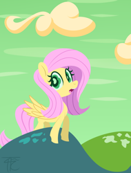 Size: 800x1055 | Tagged: safe, artist:php92, fluttershy, pegasus, pony, female, mare, pink mane, solo, yellow coat