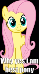 Size: 900x1709 | Tagged: safe, fluttershy, pegasus, pony, best pony, image macro, meme, out of character, solo