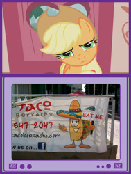 Size: 583x773 | Tagged: safe, applejack, earth pony, pony, confused, exploitable meme, meme, obligatory pony, taco, tv meme