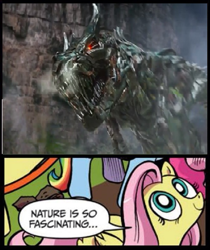 Size: 859x1024 | Tagged: safe, idw, fluttershy, pegasus, pony, blue coat, blue eyes, dialogue, dinobot, exploitable meme, female, grimlock, looking up, mare, meme, multicolored tail, nature is so fascinating, obligatory pony, pink coat, pink mane, smiling, speech bubble, transformers, wings, yellow coat