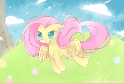 Size: 1200x800 | Tagged: safe, artist:milkii-ways, fluttershy, pegasus, pony, female, mare, pink mane, solo, yellow coat