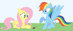 Size: 1128x493 | Tagged: safe, artist:hyolark, derpibooru import, fluttershy, rainbow dash, cockroach, insect, pegasus, pony