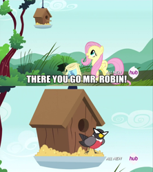 Size: 1920x2160 | Tagged: safe, screencap, fluttershy, pegasus, pony, inspiration manifestation, hub logo, image macro, mr. robin, robin