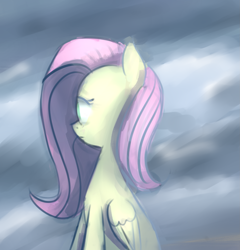 Size: 1947x2028 | Tagged: safe, artist:porkchopsammie, fluttershy, pegasus, pony, female, mare, pink mane, solo, yellow coat