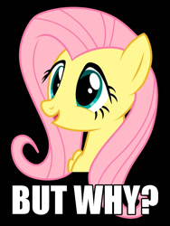 Size: 750x1000 | Tagged: safe, fluttershy, pegasus, pony, black background, blue eyes, bust, but why, caption, exploitable meme, female, image macro, mare, meme, open mouth, painfully innocent fluttershy, pink mane, question mark, reaction image, simple background, smiling, solo, text, wings, yellow coat