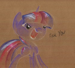 Size: 1127x1024 | Tagged: safe, artist:getchanoodlewet, derpibooru import, twilight sparkle, dialogue, solo, text, traditional art, vulgar