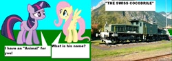 Size: 1360x483 | Tagged: safe, derpibooru import, fluttershy, twilight sparkle, pegasus, pony, locomotive, switzerland, train