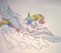 Size: 1024x887 | Tagged: safe, artist:2shadowhole, derpibooru import, rainbow dash, pegasus, pony, feathered fetlocks, solo, traditional art, wings