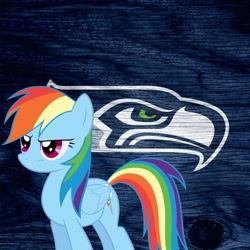 Size: 1024x1024 | Tagged: safe, derpibooru import, rainbow dash, pegasus, pony, american football, nfl, seattle seahawks