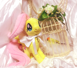 Size: 730x644 | Tagged: safe, fluttershy, bird, asklolitashy, irl, nici, photo, plushie