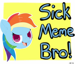 Size: 1200x1028 | Tagged: safe, artist:sonikku001, derpibooru import, rainbow dash, pegasus, pony, meme, reaction image, solo