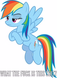 Size: 3658x5000 | Tagged: safe, derpibooru import, rainbow dash, pegasus, pony, absurd resolution, image macro, meme, solo, vulgar