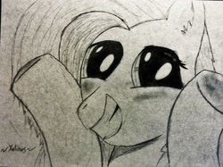 Size: 2048x1529 | Tagged: safe, artist:xulious, fluttershy, pegasus, pony, monochrome, solo, traditional art