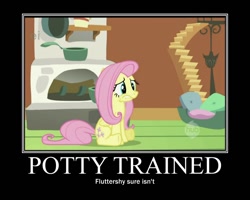 Size: 750x600 | Tagged: safe, fluttershy, pegasus, pony, demotivational poster, hub logo, image macro, meme, potty time, solo