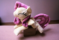 Size: 3888x2592 | Tagged: safe, artist:dieentexd, fluttershy, irl, photo, plushie