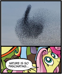 Size: 397x473 | Tagged: safe, idw, fluttershy, bird, pegasus, pony, blue coat, blue eyes, dialogue, exploitable meme, female, flock, ha ha bird get it, looking up, mare, meme, middle finger, multicolored tail, nature is so fascinating, obligatory pony, pink coat, pink mane, smiling, speech bubble, starlings, vulgar, wings, yellow coat