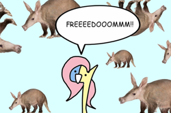 Size: 600x398 | Tagged: safe, artist:wollap, fluttershy, pegasus, pony, aardvark, braveheart, comic, freedom, not salmon, scotland, screaming, wat