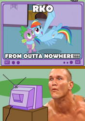 Size: 564x800 | Tagged: safe, artist:combatkaiser, derpibooru import, rainbow dash, spike, dragon, pegasus, pony, exploitable meme, image macro, meme, obligatory pony, randy orton, rko outta nowhere, tv meme, wwe