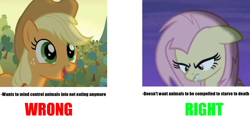 Size: 2000x1000 | Tagged: safe, applejack, fluttershy, earth pony, pegasus, pony, bats!, meta, text