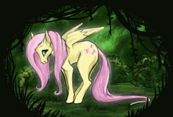 Size: 948x641 | Tagged: safe, artist:entwin, fluttershy, pegasus, pony, female, mare, pink mane, solo, yellow coat