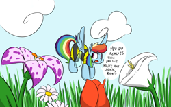 Size: 1440x900 | Tagged: safe, artist:martinhello, derpibooru import, rainbow dash, pegasus, pony, bee costume, clothes, solo, speech bubble