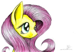 Size: 1024x701 | Tagged: safe, artist:kobra333, fluttershy, pegasus, pony, female, mare, solo, traditional art