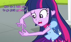 Size: 952x570 | Tagged: safe, derpibooru import, twilight sparkle, equestria girls, image macro, vulgar