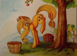 Size: 1280x936 | Tagged: safe, artist:casynuf, applejack, earth pony, pony, apple, applebucking, solo, traditional art, tree