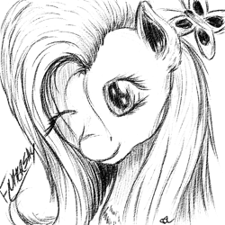 Size: 800x800 | Tagged: safe, artist:robbergon, fluttershy, butterfly, pegasus, pony, bust, monochrome, portrait, smiling, solo