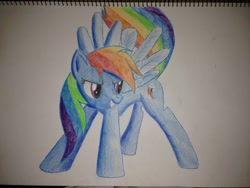 Size: 3264x2448 | Tagged: safe, artist:lethal-doorknob, derpibooru import, rainbow dash, pegasus, pony, solo, traditional art