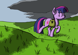 Size: 1024x724 | Tagged: safe, artist:ogihb, derpibooru import, twilight sparkle, pony, unicorn, female, horn, mare, purple coat, purple mane, solo