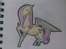 Size: 1024x768 | Tagged: safe, artist:alexisdragonstorm, fluttershy, pegasus, pony, female, mare, solo, traditional art