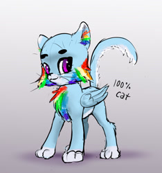 Size: 1039x1109 | Tagged: safe, artist:xbi, derpibooru import, rainbow dash, cat, cat pony, original species, pegasus, catified, solo, species swap, standing