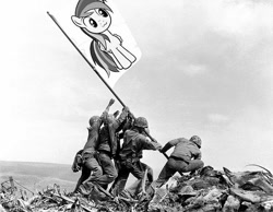 Size: 604x469 | Tagged: safe, derpibooru import, rainbow dash, pegasus, pony, brony, cute, flag, iwo jima, photo