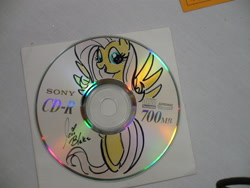 Size: 3072x2304 | Tagged: safe, fluttershy, pegasus, pony, cd, female, mare, pink mane, yellow coat