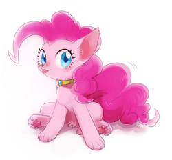 Size: 1000x926 | Tagged: safe, artist:nora1211, pinkie pie, dog, chest fluff, collar, cute, diapinkes, dogified, ear fluff, element of laughter, paws, puppy pie, simple background, sitting, solo, species swap, tongue out, underpaw, white background