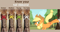 Size: 797x428 | Tagged: safe, applejack, horse, bucking, irl, ribbon, tail bow, the more you know