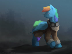 Size: 3000x2238 | Tagged: safe, artist:fuzzyfox11, derpibooru import, rainbow dash, pegasus, pony, clothes, coat, goggles, solo, winter