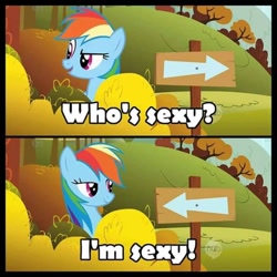 Size: 720x720 | Tagged: safe, derpibooru import, edit, edited screencap, screencap, rainbow dash, pegasus, pony, fall weather friends, arrow, sexy, solo