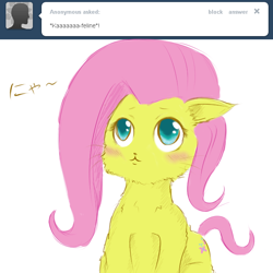 Size: 650x650 | Tagged: safe, artist:psychoticmindsystem, fluttershy, cat, askflutterfuckershy, solo, species swap