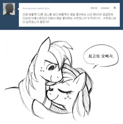 Size: 658x664 | Tagged: safe, applejack, big macintosh, earth pony, pony, applejack-kor, ask, korean, male, stallion, tumblr