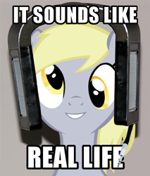 Size: 408x480 | Tagged: artist needed, safe, edit, derpy hooves, pegasus, pony, audiophile, female, headphones, image macro, jecklin float, mare, meme, solo