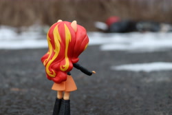 Size: 6000x4000 | Tagged: safe, artist:artofmagicpoland, sunset shimmer, equestria girls, clean, clothes, doll, equestria girls minis, pointing, skirt, solo, toy, trash