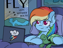 Size: 900x688 | Tagged: safe, artist:pink-pone, derpibooru import, rainbow dash, tank, pegasus, pony, tortoise, bed, computer, cute, eyes closed, female, laptop computer, mare, poster, smiling, wavy mouth, wonderbolts