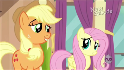 Size: 1276x720 | Tagged: safe, screencap, applejack, fluttershy, earth pony, pegasus, pony, rarity takes manehattan, out of context