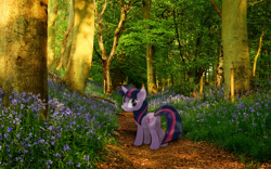 Size: 1920x1200 | Tagged: safe, artist:bryal, derpibooru import, twilight sparkle, forest, irl, photo, ponies in real life, solo